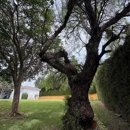 Quimera En Villa *